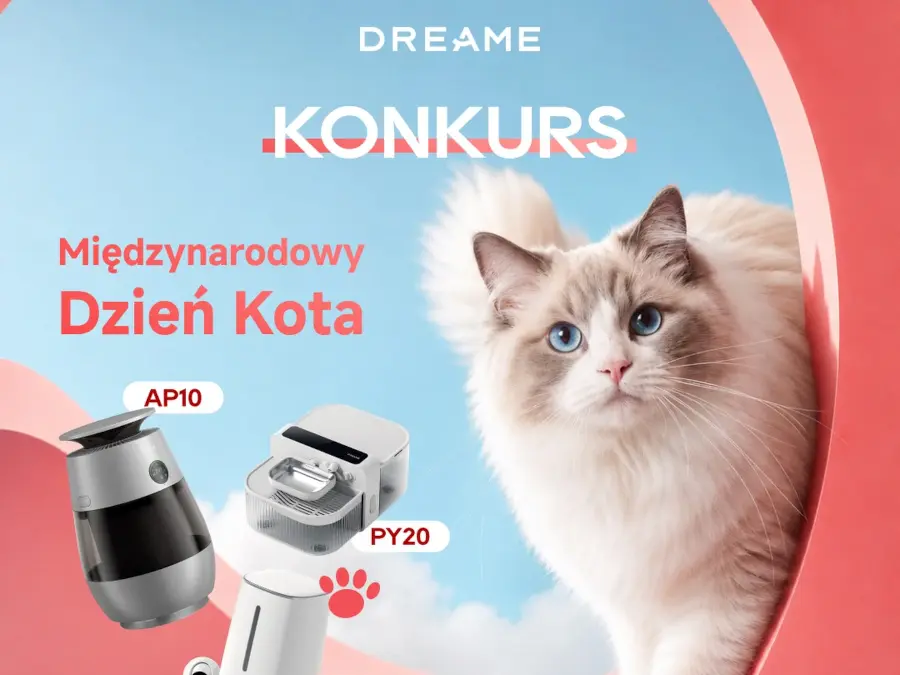 Dzień Kota z Dreame